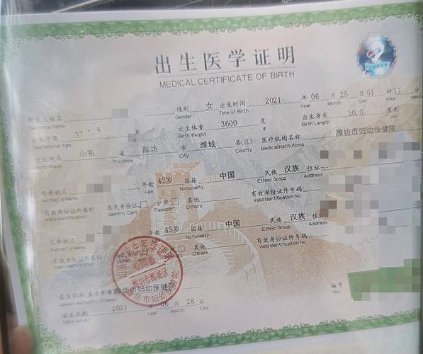 代孕小孩上户口